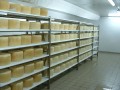 TAFO PFS 33/40/50 cm - nuvarvinimo grotelės (lentyna)