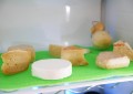 Putplasčio paklotas sūriams (47 x 30 cm)