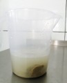 Pienarūgštės fermentas – ėriuko pasta