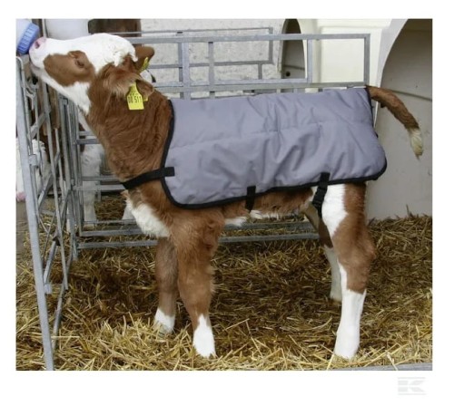 Veršiukų apsiaustas, 70 cm