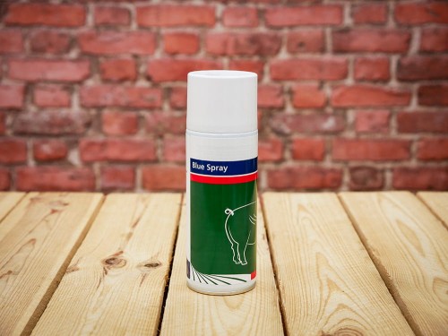 BlueSpray antiinfekcinis purškalas, 400 ml