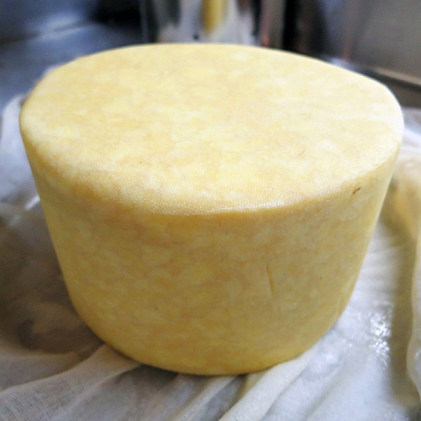 ser parmezan
